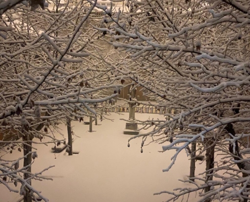  Camino interior del Colegio Internacional G Nicoli completamente nevado por la borrasca Filomena