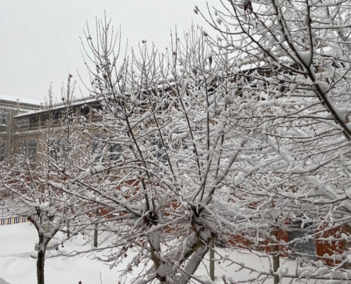  Zona ajardinada del Colegio Internacional G Nicoli tras una intensa nevada provocada por Filomena