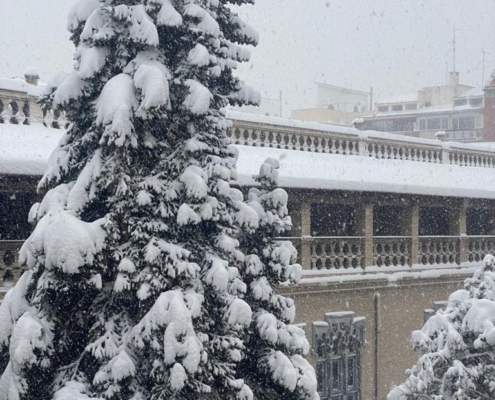 Árboles del recinto escolar del Colegio Internacional G Nicoli completamente cubiertos de nieve