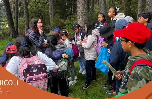 Contenido informativo del Colegio Internacional G Nicoli en 2024.